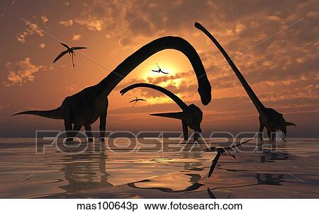 Stock Illustration - A herd of Omeisaurus sauropod dinosaurs in shallow water.. Fotosearch