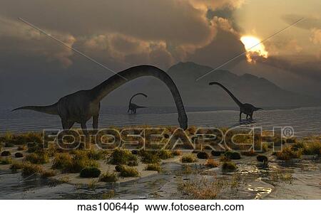 A herd of Omeisaurus sauropod dinosaurs grazing. View Large Illustration Stock Illustration - A herd of Omeisaurus sauropod dinosaurs grazing.. Fotosearch