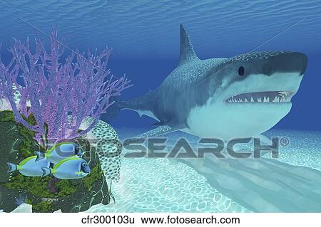 Stock Illustration - A huge Megalodon shark swimming in clear ocean waters.. Fotosearch