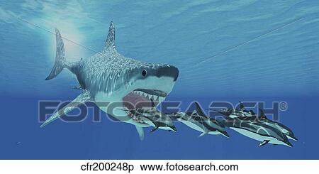 A huge Megalodon shark swims after a pod of striped dolphins. View Large Illustration Stock Illustration - A huge Megalodon shark swims after a pod of striped dolphins.. Fotosearch