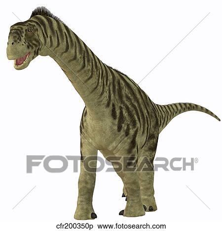 A juvenile Camarasaurus dinosaur. View Large Illustration Stock Illustration - A juvenile Camarasaurus dinosaur.. Fotosearch
