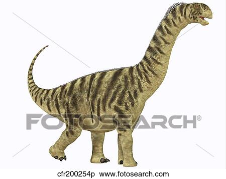 A juvenile Camarasaurus sauropod dinosaur that lived during the Jurassic Age. View Large Illustration Stock Illustration - A juvenile Camarasaurus sauropod dinosaur that lived during the Jurassic Age.. Fotosearch