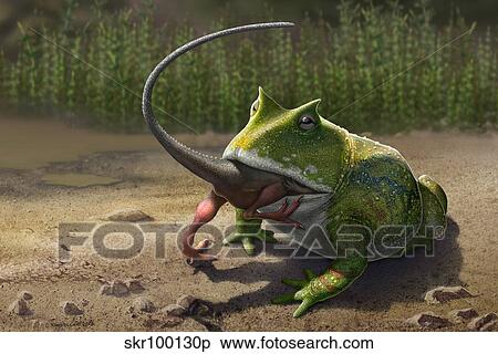 A large Beelzebufo frog eating a small Masiakasaurus. View Large Illustration Stock Illustration - A large Beelzebufo frog eating a small Masiakasaurus.. Fotosearch