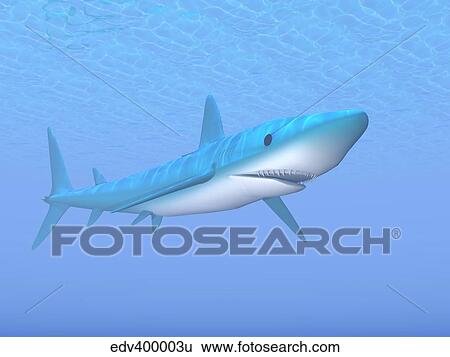 A large blue shark swimming quietly underwater. View Large Illustration Stock Illustration - A large blue shark swimming quietly underwater.. Fotosearch