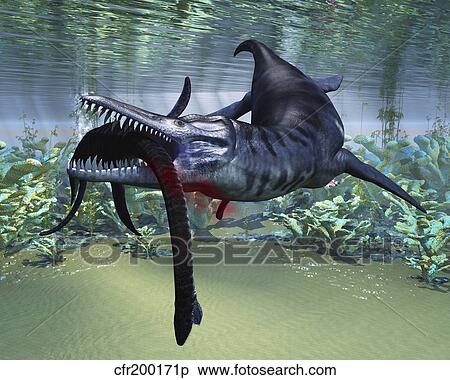 A Liopleurodon attacks a Plesiosaurus. View Large Illustration Stock Illustration - A Liopleurodon attacks a Plesiosaurus.. Fotosearch