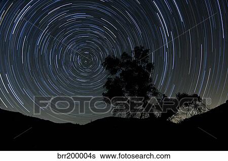 A lone oak tree silhouetted against a backdrop of star trails. View Large Photo Image Stock Photograph - A lone oak tree silhouetted against a backdrop of star trails.. Fotosearch