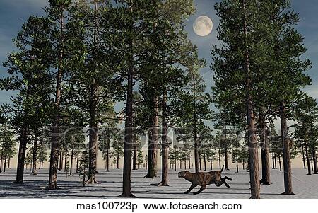 A lone Sabre-Tooth Tiger running through a snow covered forest. View Large Illustration Stock Illustration - A lone Sabre-Tooth Tiger running through a snow covered forest.. Fotosearch
