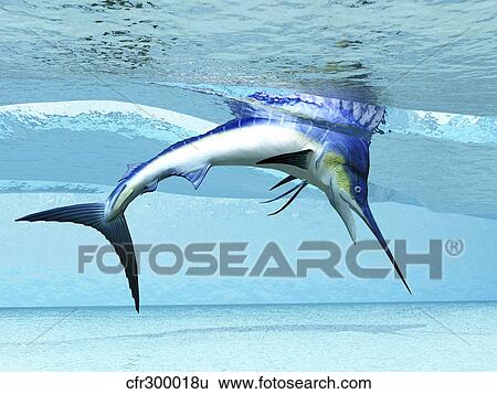A Marlin dives in shallow waves looking for fish to eat. View Large Illustration Stock Illustration - A Marlin dives in shallow waves looking for fish to eat.. Fotosearch