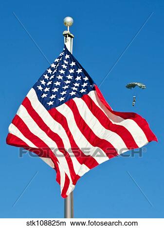 A member of the Army's Black Daggers parachute team passes by the American flag. View Large Photo Image Picture - A member of the Army's Black Daggers parachute team passes by the American flag.. Fotosearch