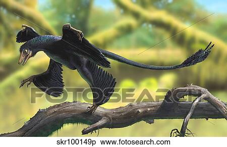 Stock Illustration - A Microraptor perched on a tree branch.. Fotosearch