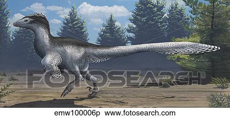 A mid-sized Cretaceous China deinonychosaur. View Large Illustration Stock Illustration - A mid-sized Cretaceous China deinonychosaur.. Fotosearch