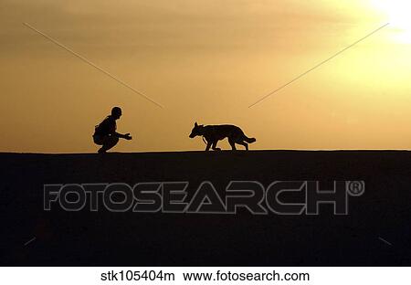 A military working dog and his handler spend time together. View Large Photo Image Picture - A military working dog and his handler spend time together.. Fotosearch