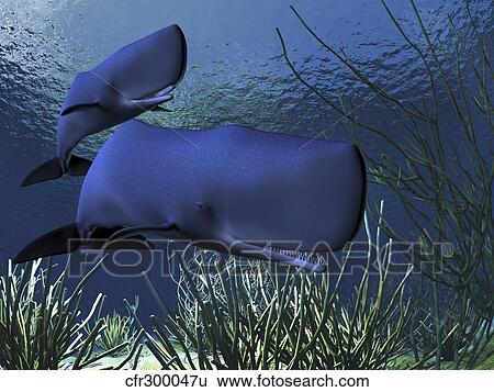 Stock Illustration - A mother sperm whale escorts her calf along an ocean reef.. Fotosearch