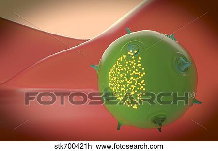 A natural killer cell of the innate immune system with toxin particles. View Large Illustration Drawing - A natural killer cell of the innate immune system with toxin particles.. Fotosearch