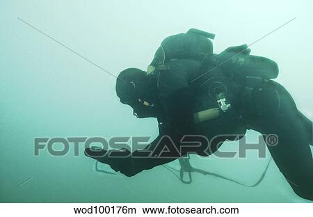 A Navy SEAL combat swimmer navigates the water utilizing a compass board. View Large Photo Image Picture - A Navy SEAL combat swimmer navigates the water utilizing a compass board.. Fotosearch