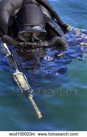 A Navy SEAL combat swimmer. View Large Photo Image Picture - A Navy SEAL combat swimmer.. Fotosearch