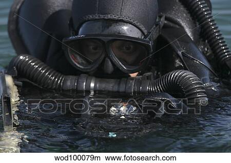 A Navy SEAL combat swimmer. View Large Photo Image Picture - A Navy SEAL combat swimmer.. Fotosearch