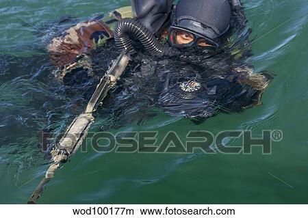 A Navy SEAL combat swimmer. View Large Photo Image Picture - A Navy SEAL combat swimmer.. Fotosearch