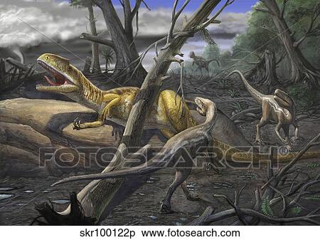 A Neovenator salerii is approached by Eotyrannus lengi dinosaurs. View Large Illustration Stock Illustration - A Neovenator salerii is approached by Eotyrannus lengi dinosaurs.. Fotosearch