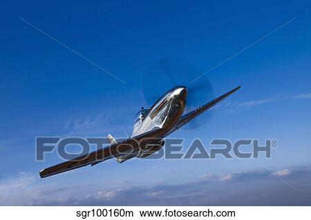 A North American P-51D Mustang in flight near Chino, California. View Large Photo Image Picture - A North American P-51D Mustang in flight near Chino, California.. Fotosearch