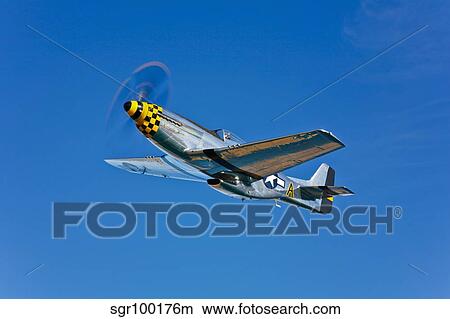A North American P-51D Mustang in flight near Chino, California. View Large Photo Image Picture - A North American P-51D Mustang in flight near Chino, California.. Fotosearch