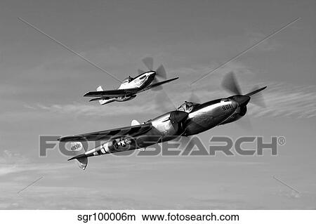 A P-38 Lightning and P-51D Mustang in flight. View Large Photo Image Picture - A P-38 Lightning and P-51D Mustang in flight.. Fotosearch