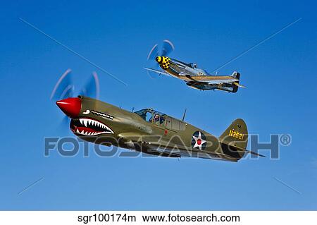 A P-40E Warhawk and a P-51D Mustang Kimberly Kaye in flight. View Large Photo Image Picture - A P-40E Warhawk and a P-51D Mustang Kimberly Kaye in flight.. Fotosearch