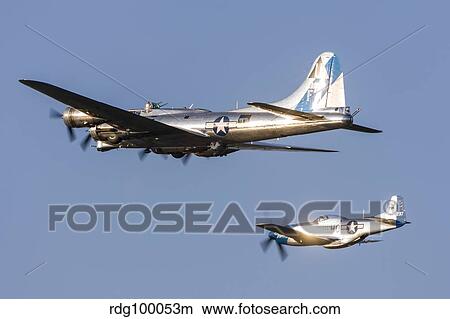 A P-51 Mustang flies alongside a B-17 Flying Fortress. View Large Photo Image Picture - A P-51 Mustang flies alongside a B-17 Flying Fortress.. Fotosearch