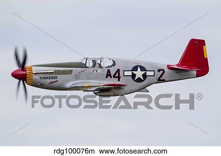 A P-51 Mustang flies by at EAA Airventure, Oshkosh, Wisconsin. View Large Photo Image Picture - A P-51 Mustang flies by at EAA Airventure, Oshkosh, Wisconsin.. Fotosearch