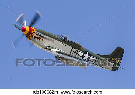 A P-51 Mustang flies by at Stead Field, Nevada. View Large Photo Image Picture - A P-51 Mustang flies by at Stead Field, Nevada.. Fotosearch