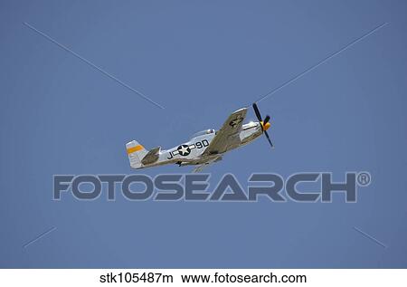 A P-51 Mustang in flight over Florida. View Large Photo Image Picture - A P-51 Mustang in flight over Florida.. Fotosearch