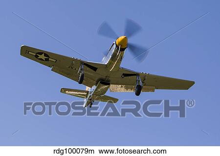 A P-51 Mustang parepares for landing at DuPage, Illinois. View Large Photo Image Picture - A P-51 Mustang parepares for landing at DuPage, Illinois.. Fotosearch