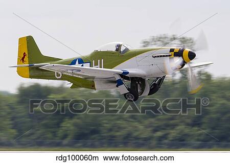 A P-51 Mustang takes off from Mount Comfort, Indiana. View Large Photo Image Picture - A P-51 Mustang takes off from Mount Comfort, Indiana.. Fotosearch
