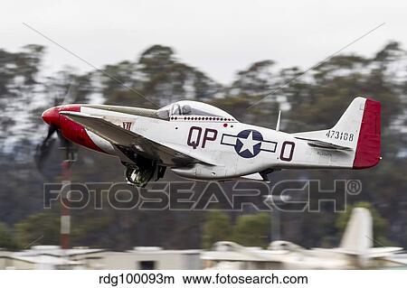 A P-51 Mustang takes off from Santa Rosa, California. View Large Photo Image Picture - A P-51 Mustang takes off from Santa Rosa, California.. Fotosearch