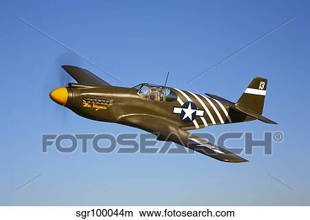 A P-51A Mustang in flight. View Large Photo Image Picture - A P-51A Mustang in flight.. Fotosearch