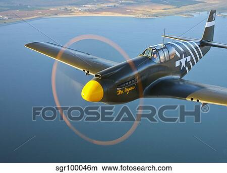 A P-51A Mustang in flight. View Large Photo Image Picture - A P-51A Mustang in flight.. Fotosearch