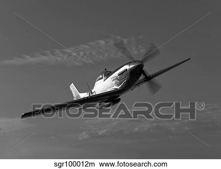 Picture - A P-51D Mustang in flight.. Fotosearch