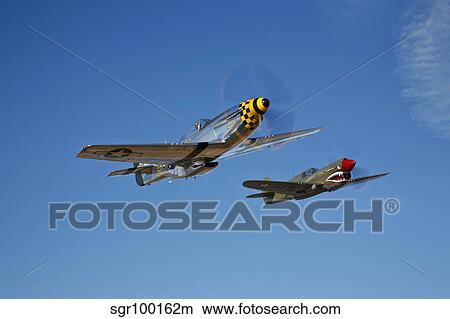 A P-51D Mustang Kimberly Kaye and a P-40E Warhawk in flight. View Large Photo Image Picture - A P-51D Mustang Kimberly Kaye and a P-40E Warhawk in flight.. Fotosearch