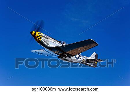 A P-51D Mustang Kimberly Kaye in flight. View Large Photo Image Picture - A P-51D Mustang Kimberly Kaye in flight.. Fotosearch