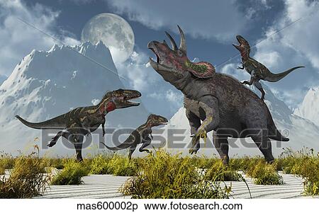 A pack of Nanotyrannus dinosaurs attacking a lone Triceratops. View Large Illustration Stock Illustration - A pack of Nanotyrannus dinosaurs attacking a lone Triceratops.. Fotosearch