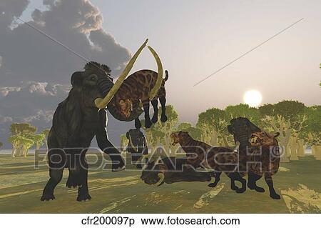 A pack of Saber Tooth Cats attack a small Woolly Mammoth. View Large Illustration Stock Illustration - A pack of Saber Tooth Cats attack a small Woolly Mammoth.. Fotosearch
