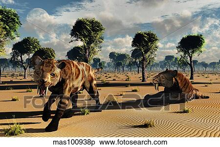 Stock Illustration - A pair of carnivorous Sabre-Tooth Tigers.. Fotosearch