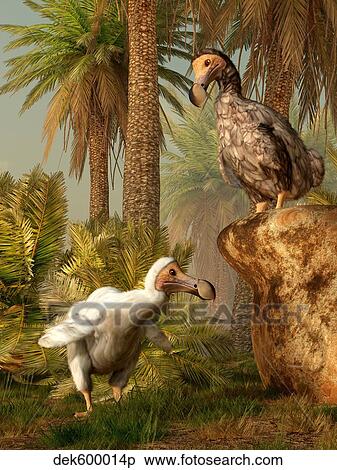 A pair of Dodo birds play a game of hide-and-seek. View Large Illustration Stock Illustration - A pair of Dodo birds play a game of hide-and-seek.. Fotosearch