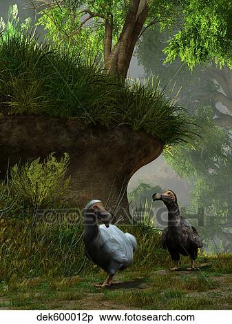A pair of Dodo birds waddle along a forest path. View Large Illustration Stock Illustration - A pair of Dodo birds waddle along a forest path.. Fotosearch