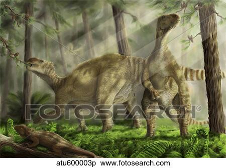 A pair of Iguanodon bernissartensis grazing. View Large Illustration Stock Illustration - A pair of Iguanodon bernissartensis grazing.. Fotosearch