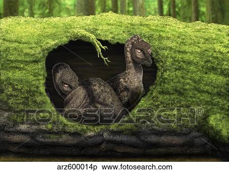 Stock Illustration - A pair of juvenile troodons in the hollow of a tree.. Fotosearch