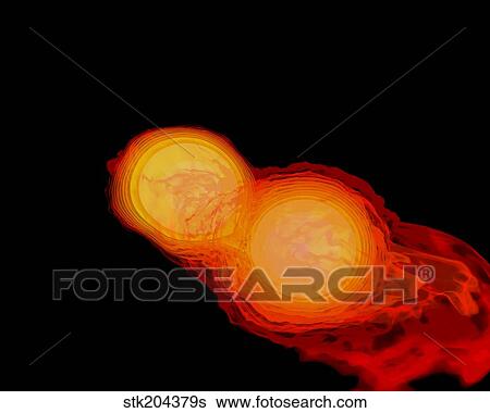 A pair of neutron stars colliding, merging, and forming a black hole. View Large Illustration Stock Illustration - A pair of neutron stars colliding, merging, and forming a black hole.. Fotosearch