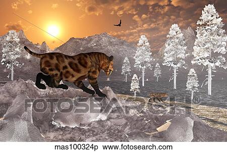 A pair of Sabre Tooth Tigers experience the first signs of winter. View Large Illustration Stock Illustration - A pair of Sabre Tooth Tigers experience the first signs of winter.. Fotosearch