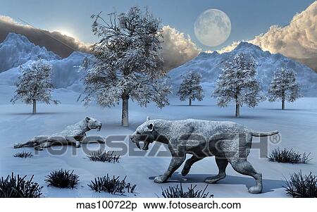 A pair of Sabre-Toothed Tigers surviving a prehistoric winter. View Large Illustration Stock Illustration - A pair of Sabre-Toothed Tigers surviving a prehistoric winter.. Fotosearch