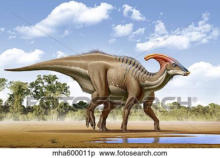 Stock Illustration - A Parasaurolophus searches for a source of water.. Fotosearch